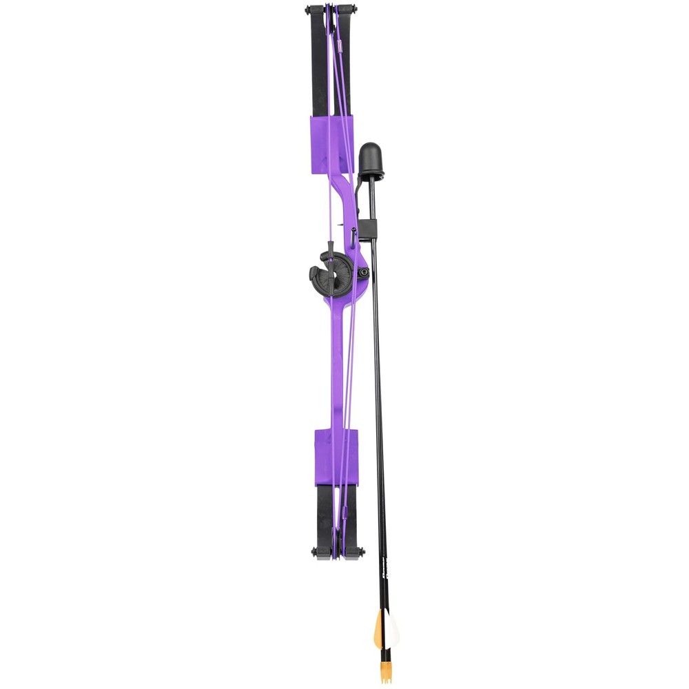 Bear Brave Youth Compound Bow Purple