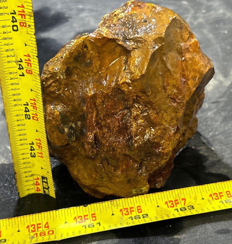 Silver Creek Junction petrified wood