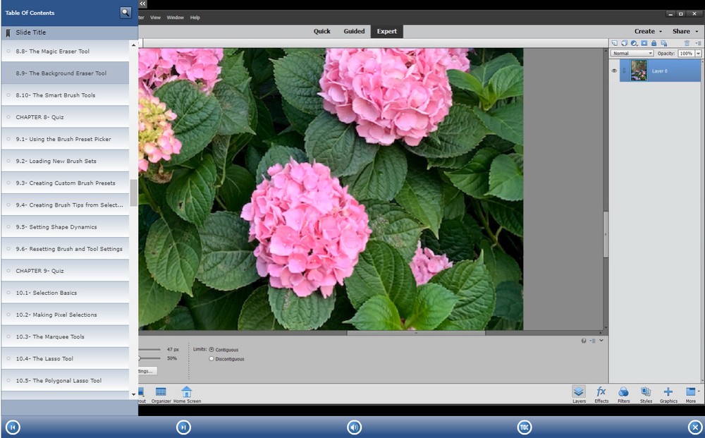New PHOTOSHOP ELEMENTS 2020 DELUXE Training Tutorial & Quick Reference Guide
