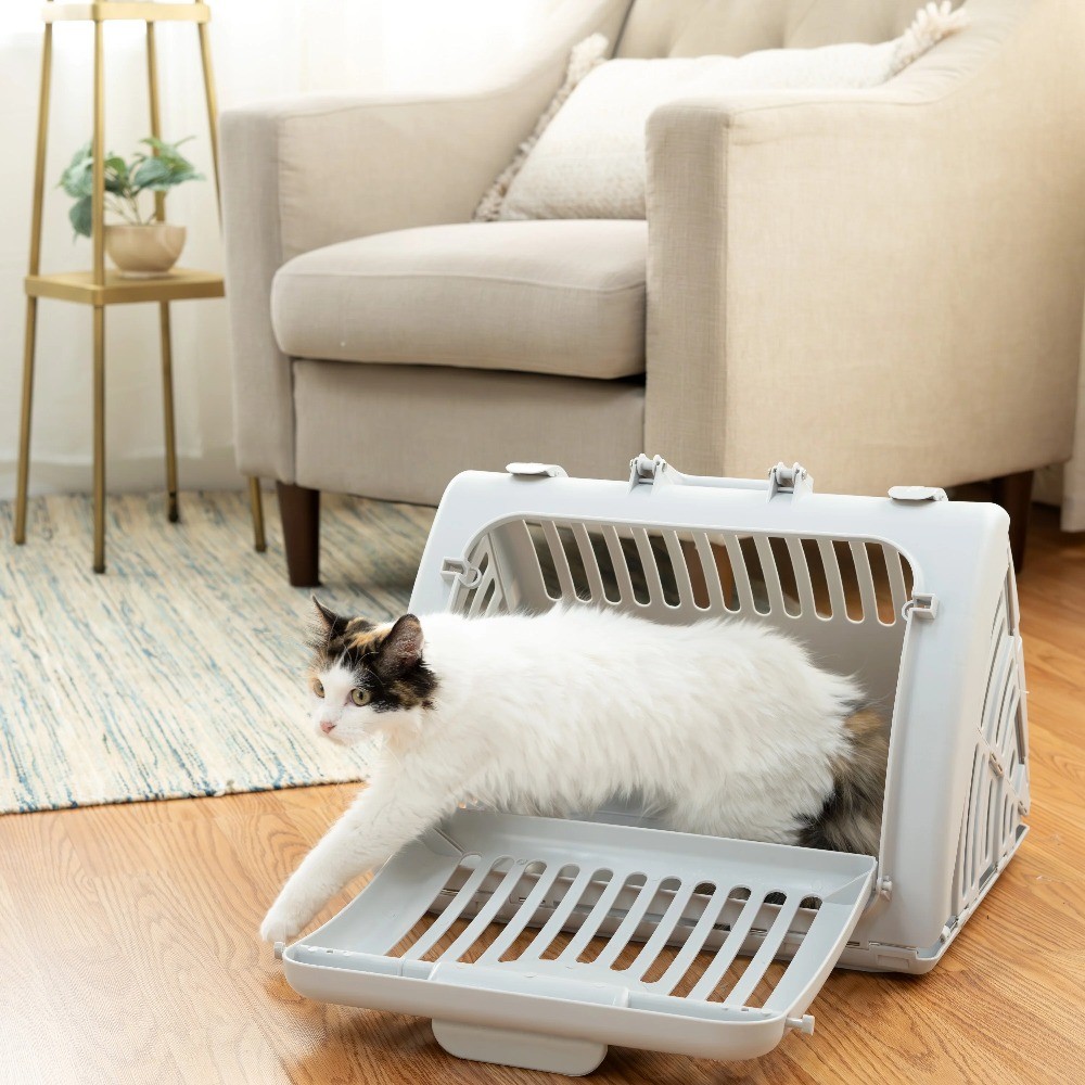 Foldable Plastic Travel Cat Carrier, Gray, One Size