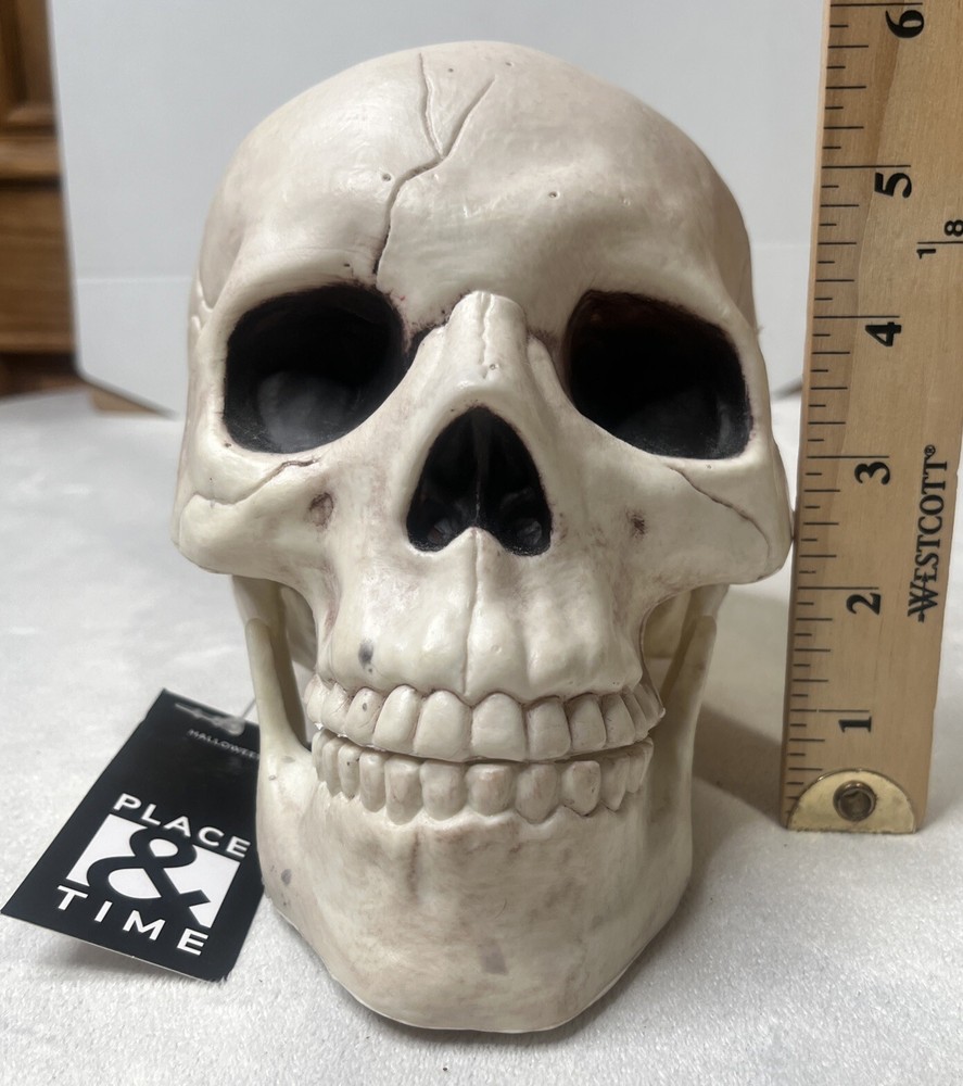 Skull With Movable Jaw By Place & Time