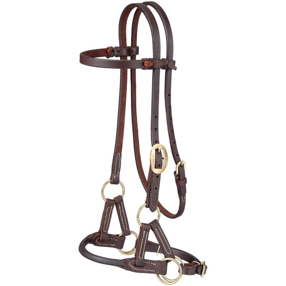 Side Pull Headstall - Oiled Rolled Harness Leather