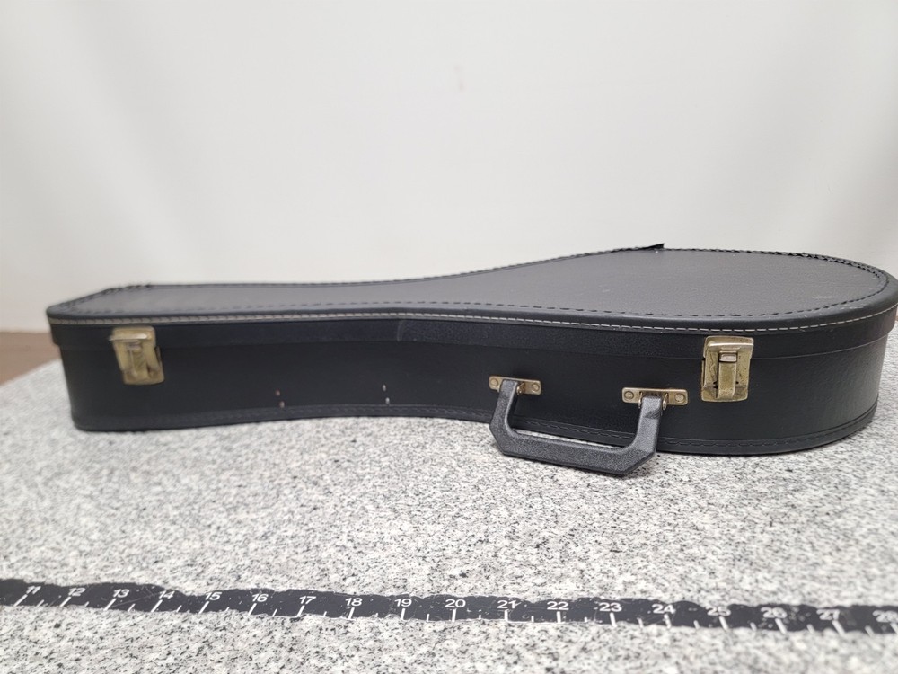 Vintage Kay Mandolin 8-String(Missing One) N7?