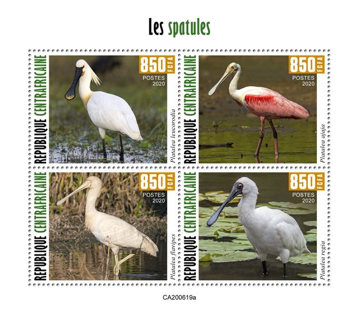 Spoonbills