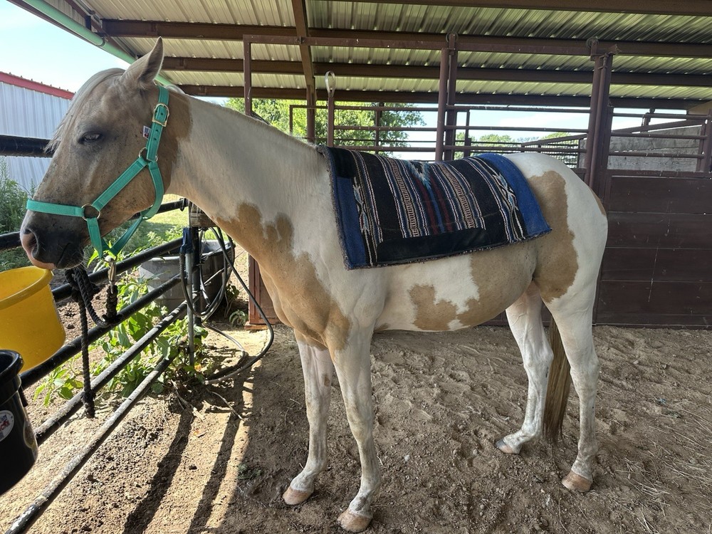 Western Weaver Saddle Pad