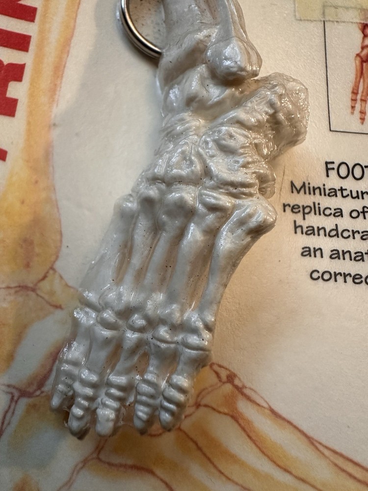 Vintage Brainstorms Skeleton Foot Bone Keyring MOC Anatomical Replica