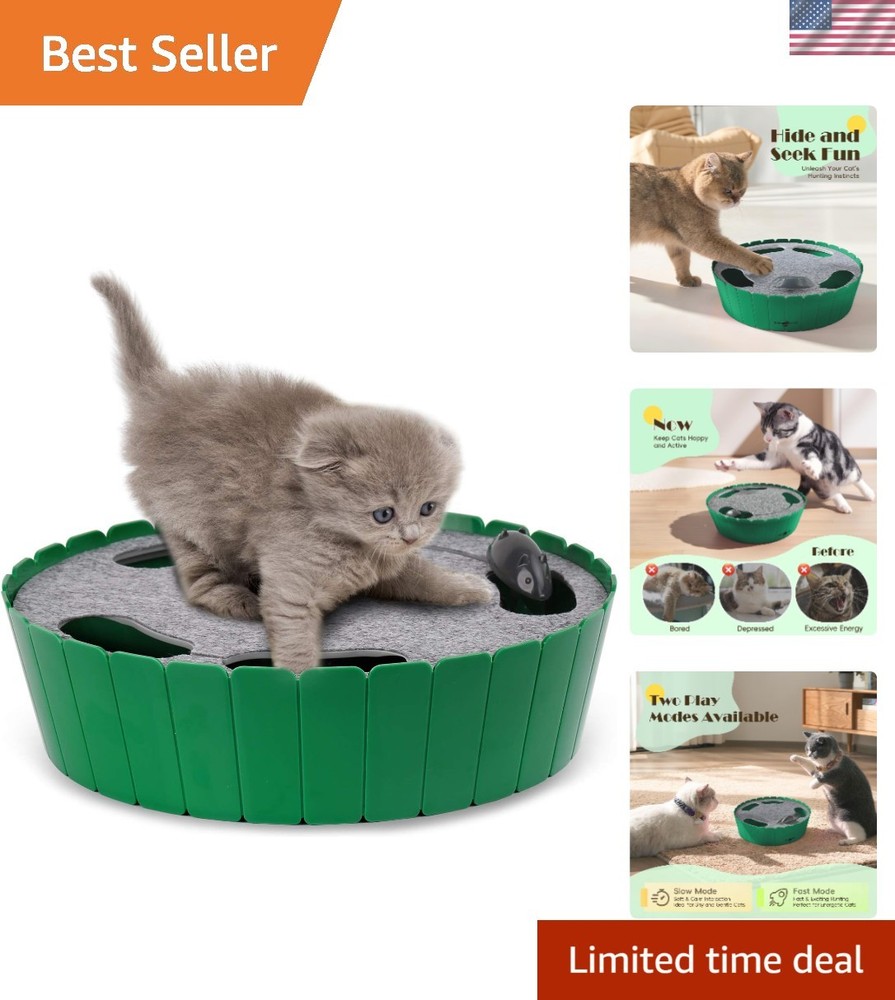 Interactive Cat Toy with Running Mouse, Electronic Motion Cat Toy Automatic Teas