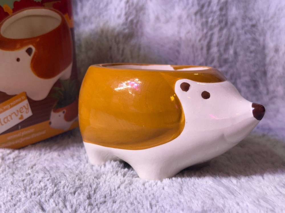 Harvey Hedgehog Animal Planter
