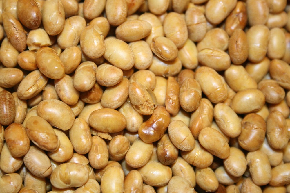 SOY NUTS ROASTED UNSALTED, 2LBS