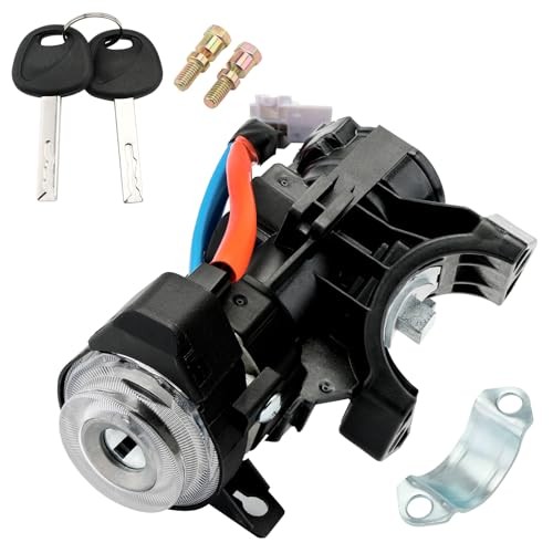 Ignition Lock Cylinder Switch & Cylinder Housing, with Keys, Assembly