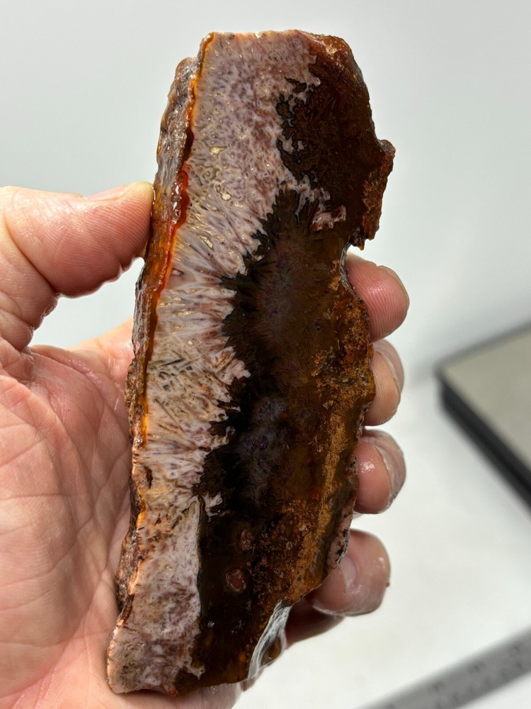 Turkish Pink Stick Agate slab Cabbing Lapidary Collecting Combo Ship avail