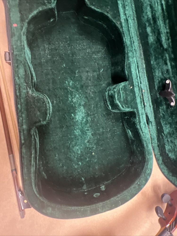 Parrot | Art No. 19 | Violin With Case