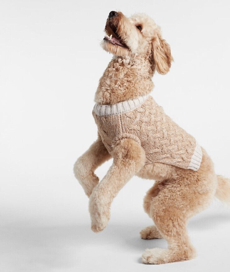 EXPRESS CABLE KNIT DOGGIE SWEATER SIZE - MEDIUM TAN/BEIGE NWT