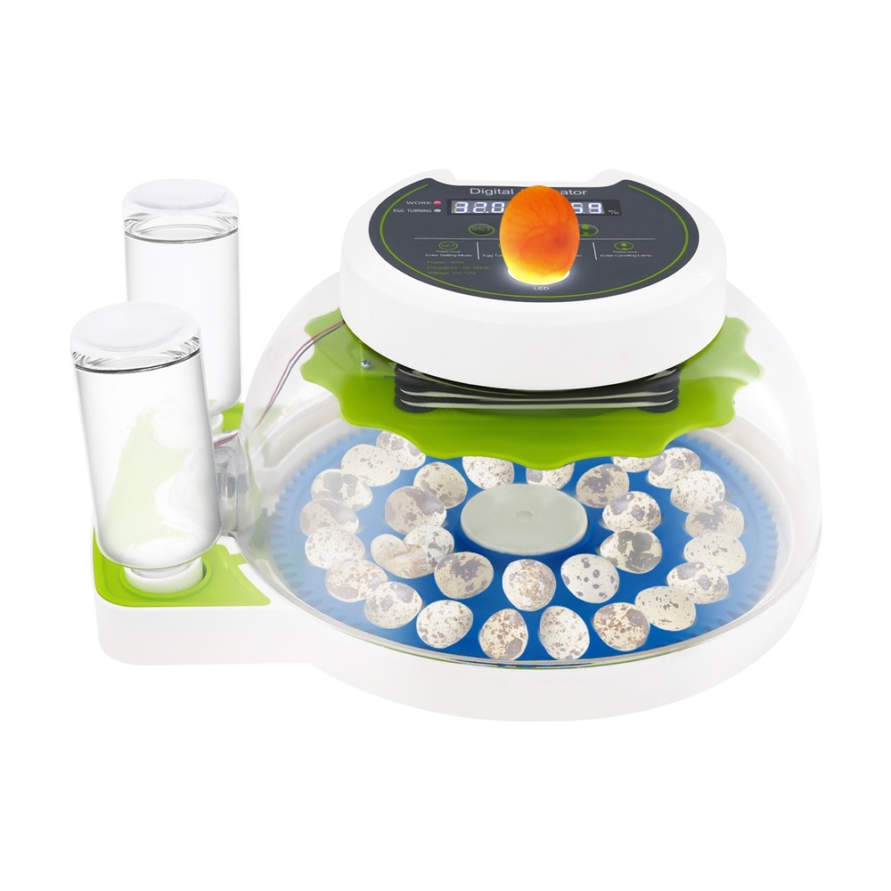 33 Eggs Quail Egg Incubator Modern Small Quail Brooder Poultry Quail Incubator