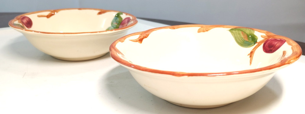 Medium replacement Franciscan plate set of two hand painted
