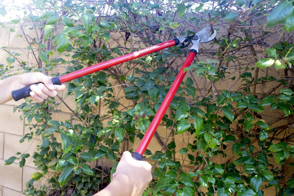 Tools Shrub, Branch & Stem 3 Piece Set