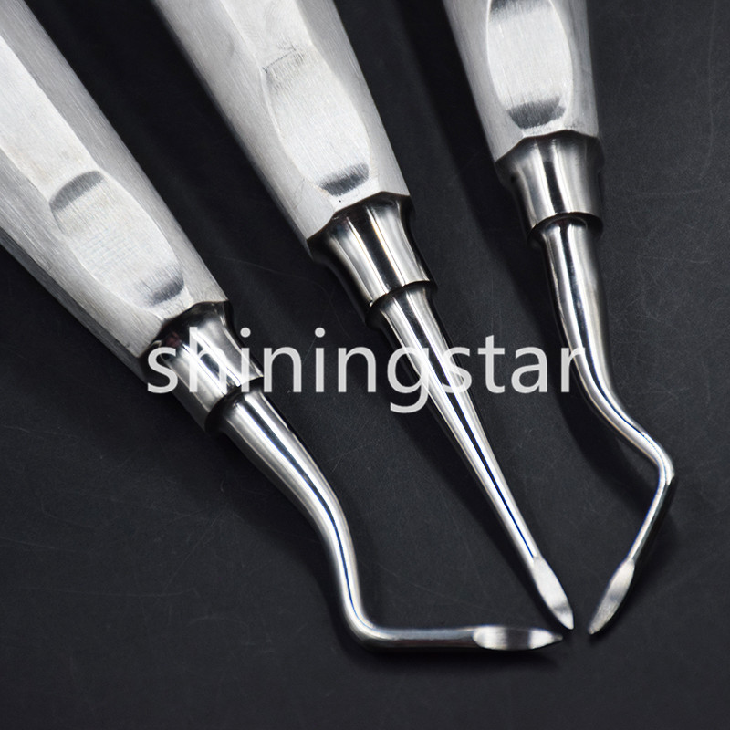 6 Pcs Dental Apical/Apex Elevator Extraction Root Elevator Left/Right/Straight