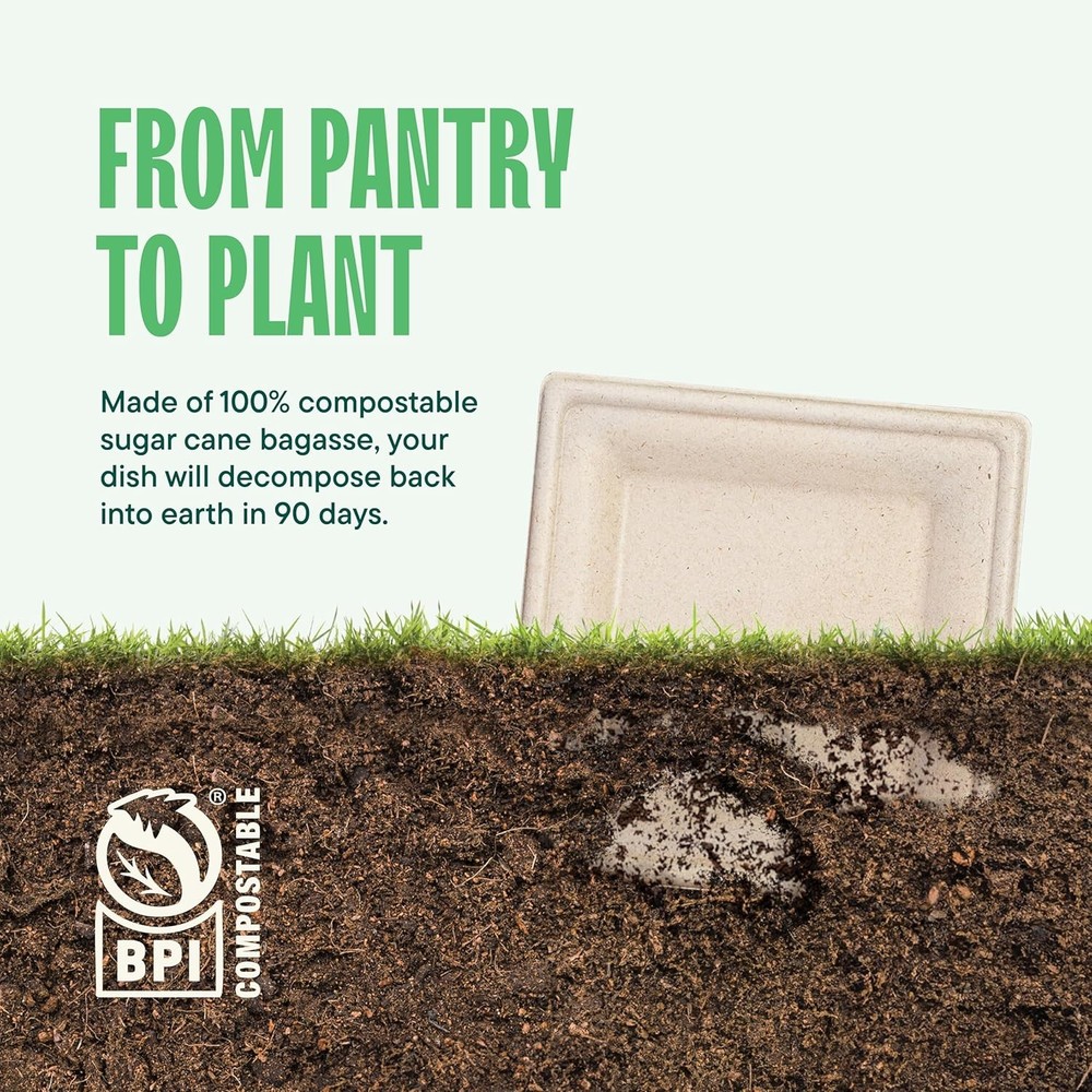 100% Compostable Square Paper Plates [50-Pack] - 10 Inch, Unbleached