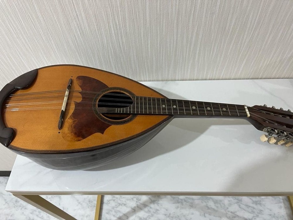 mandolin