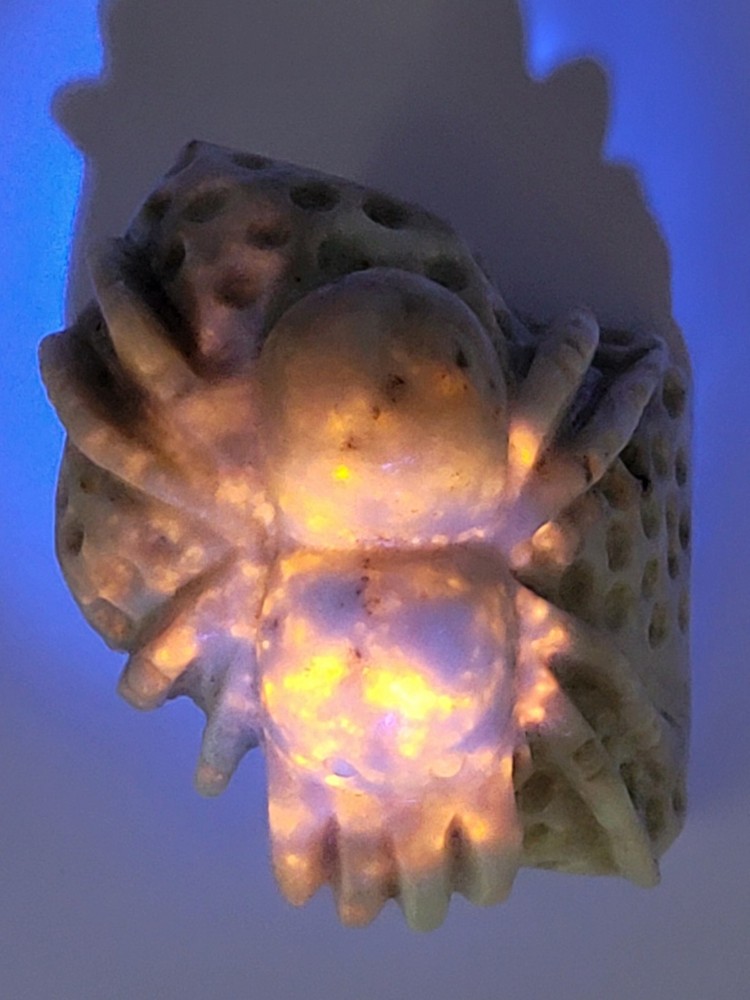 Hackmanite Spider Carving- UV Reactive- WYSIWYG