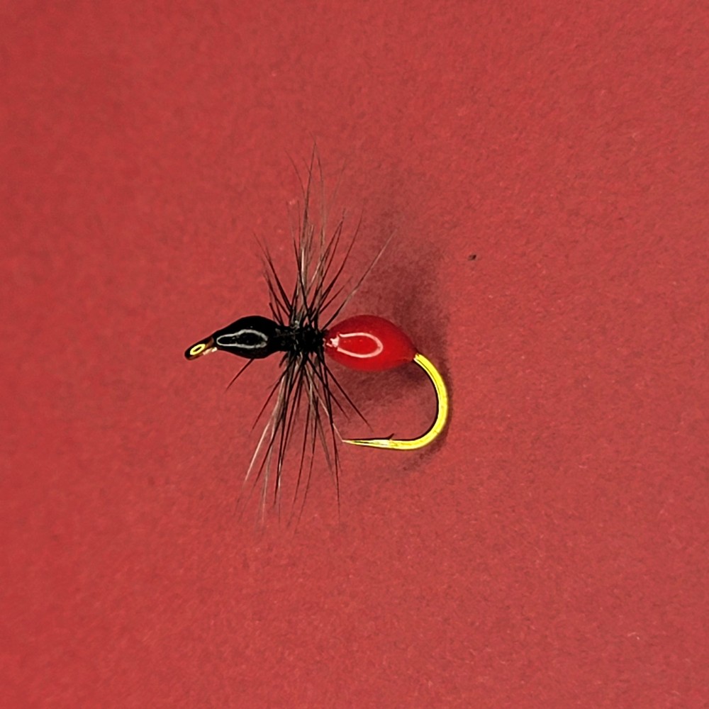 Black Flying Ant | Size #12