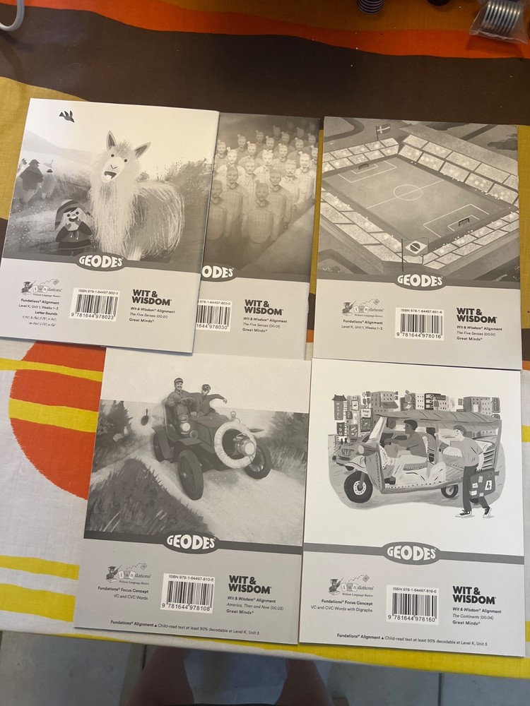 Geodes Wilson Fundations book. Level K