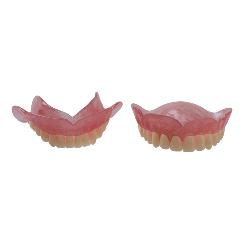 Denture Model for Dental Practice High Quality Lab Training Tool Customizable