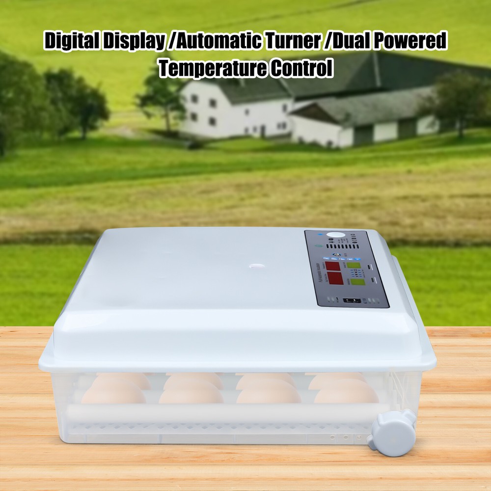 Single Tier Automatic Egg Turning Incubators Hatching Eggs Chicken Farm