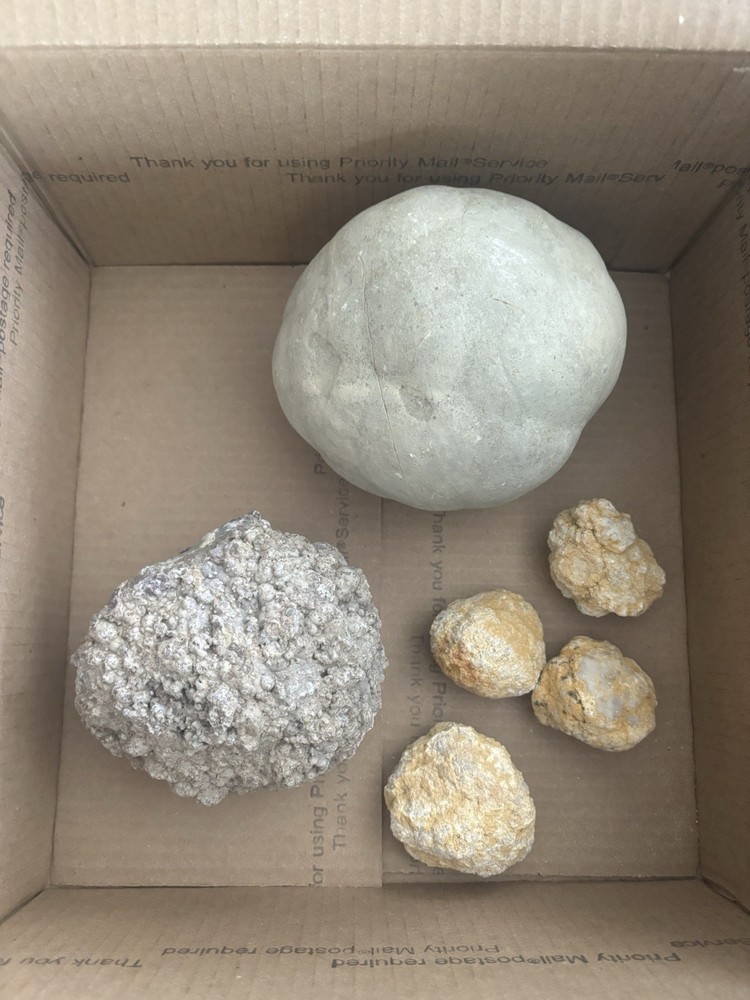 Assorted Whole Unopened Geodes - 1 x Thunder Egg, 1 x Septarian 4 x Quartz