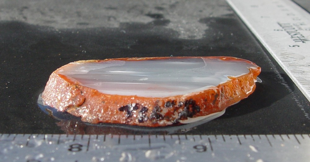 Malawi Waterline Agate Lapidary Slab T1030