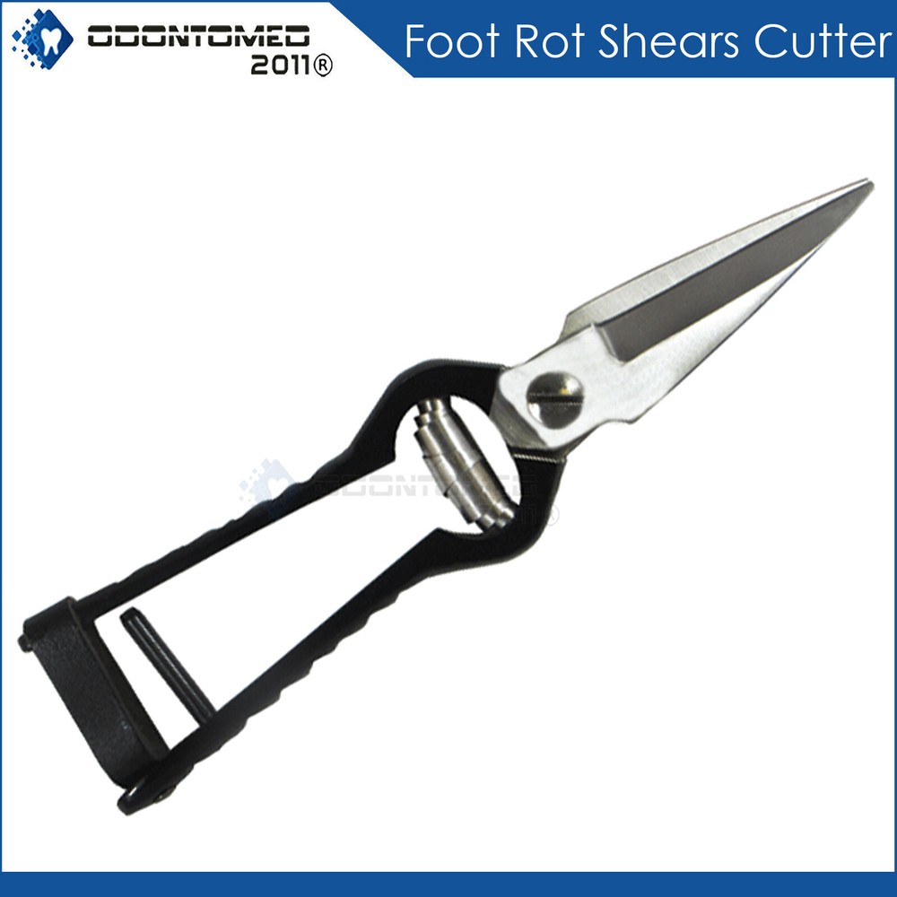 Foot Rot Shears (Black Painted) Veterinary Instruments