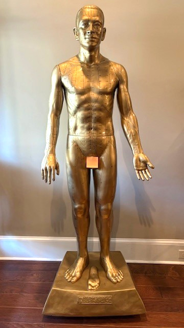 7FT Life Size Acupuncture Mannequin  w/ Rolling Base, Gold-colored finish