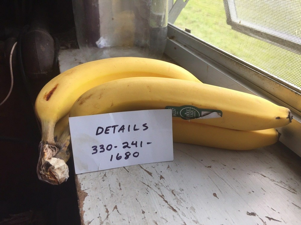 SUN DISTRIBUTOR MACHINE SUN IGNITION SIMULATOR SUN ANALYZER SUN ELECTRIC