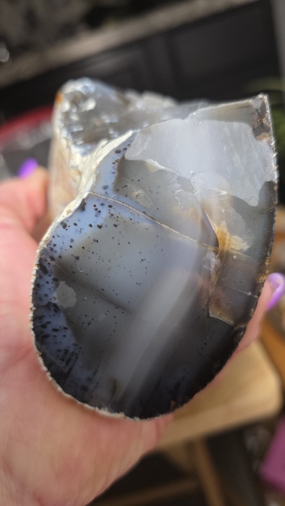 Montana Agate Rough 2lbs. 11oz.