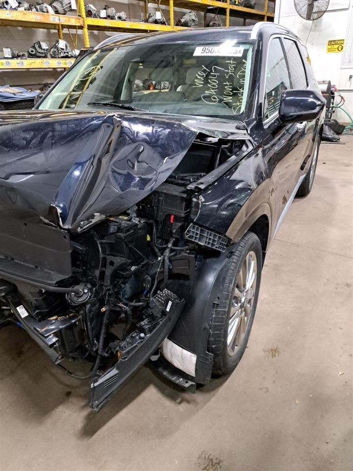 2020 Palisade Camera/Projector Sku#4355347