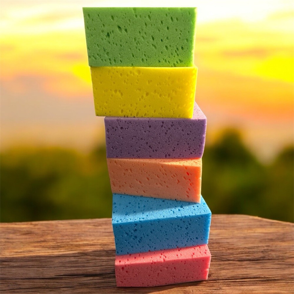Sponges