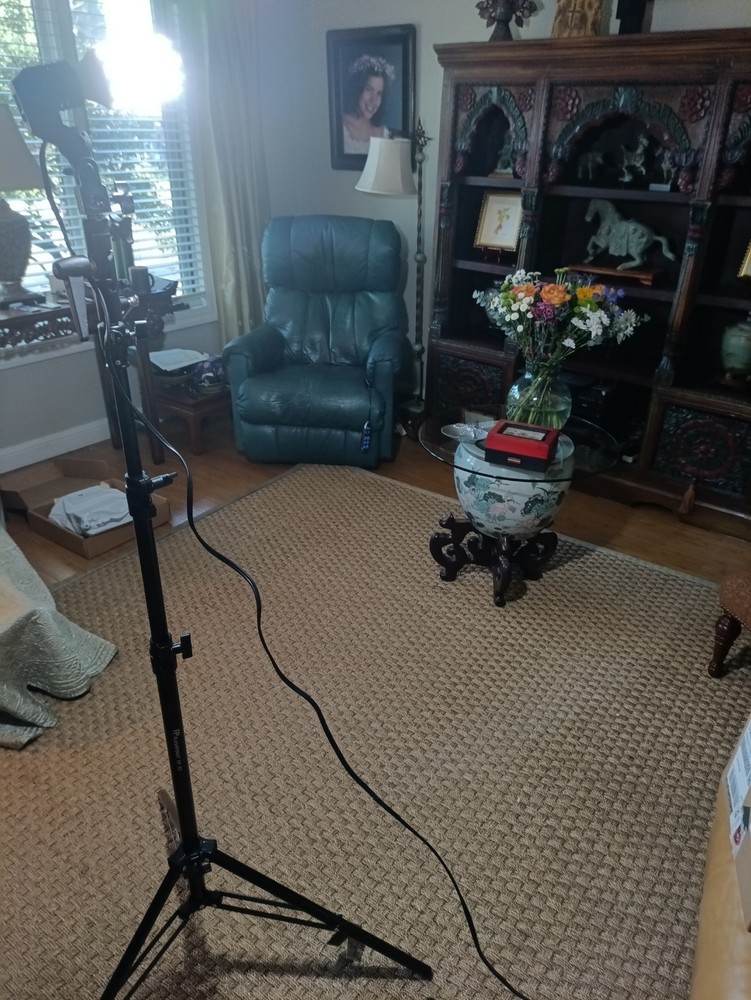 Flashpoint 7' 3 Section Aluminum Light Stands With Light and Diffuser (2)