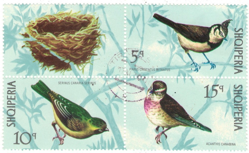 1971 Albania CTO Block:  Birds