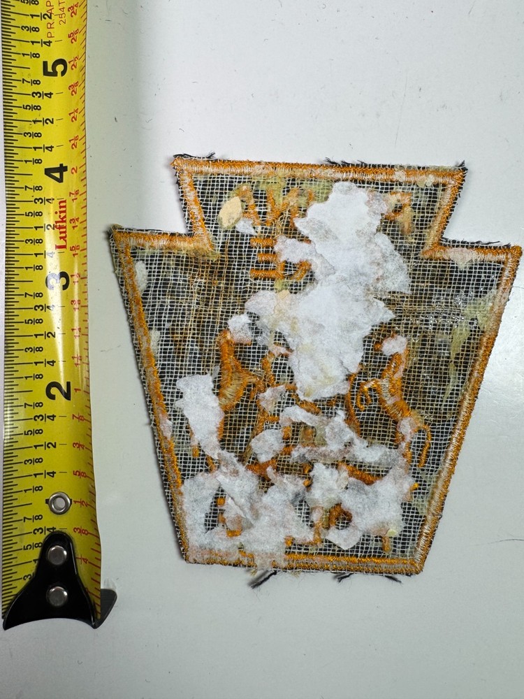 Pennsylvania FP Fire Patch AA9