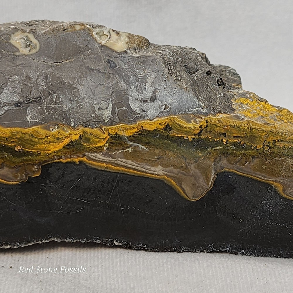 Bumblebee Jasper Slab