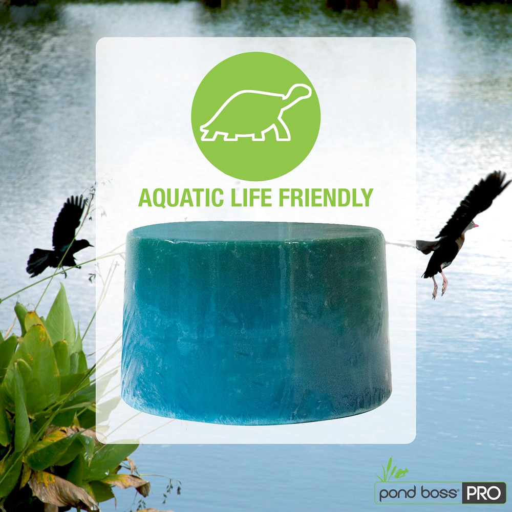 CBBPR5 Pro Block Bacteria, 5-Pound