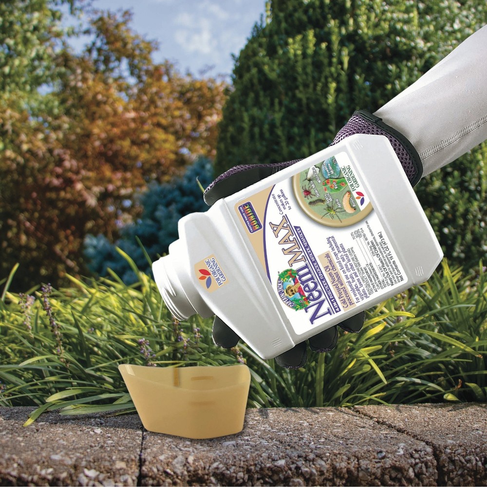 Bonide Captain Jack's Deadbug Brew Concentrate, Kills Listed Insects - 16 oz