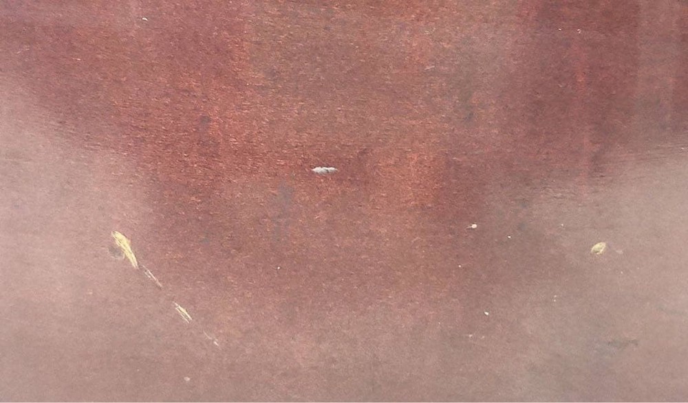 YAMAHA Dynamic Guitar No.15 Vintage