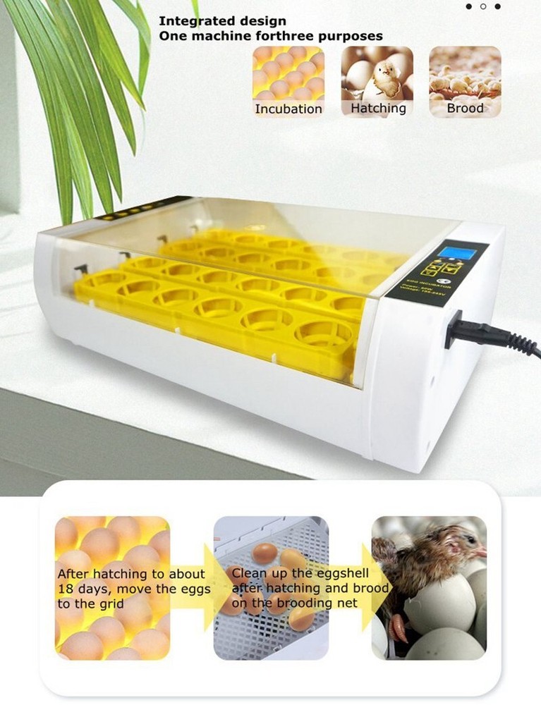24 Eggs Automatic Egg Incubator Bird Poultry Hatcher Breeder Digital Display