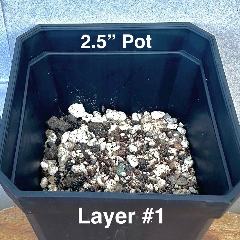 4 Layer System Cactus Seed Sowing Germination Mix Soil Kit Mycorrhizae 1 QUART