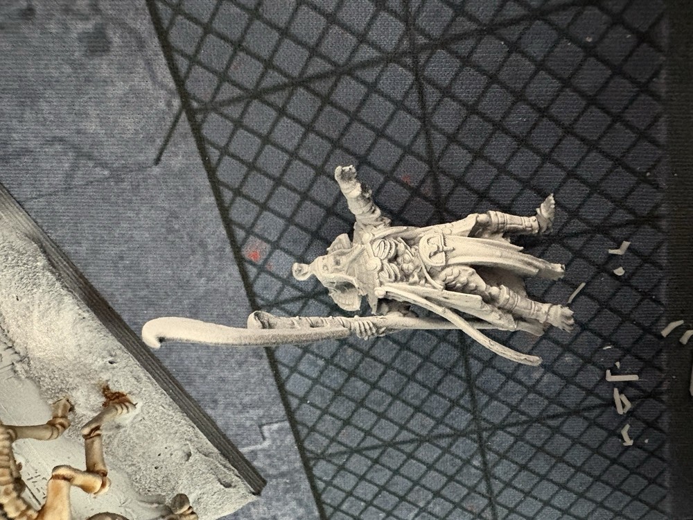 Skeleton Chariot Leader resin proxy