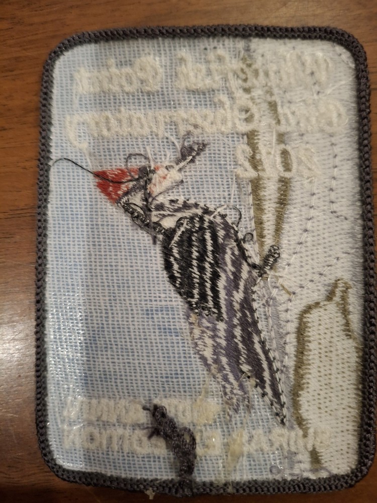 Whitefish Point Bird Observatory 2012 100th Anniv. Shiras Expedition Patch Mich.
