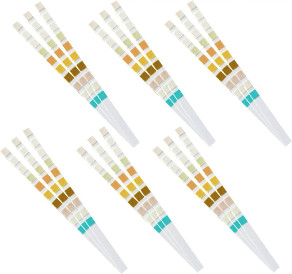 10Parameter Urine Test Strips 100 Strips for Home Use Urinalysis Testing URS\\
