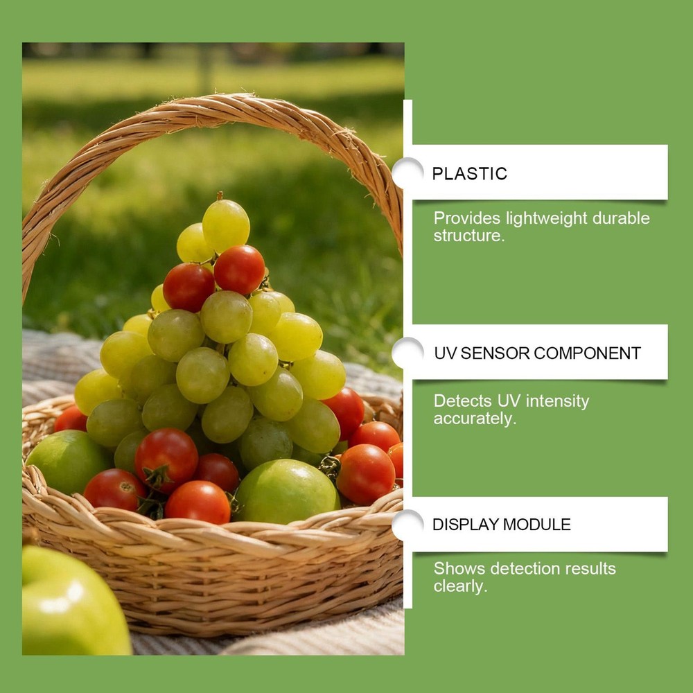 UV Black Light Flashlight Portable UV Flashlight for Vegetables Detector