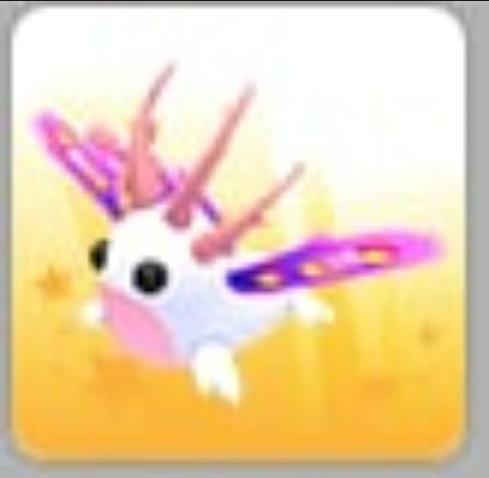 Sea Slug | Adopt Now